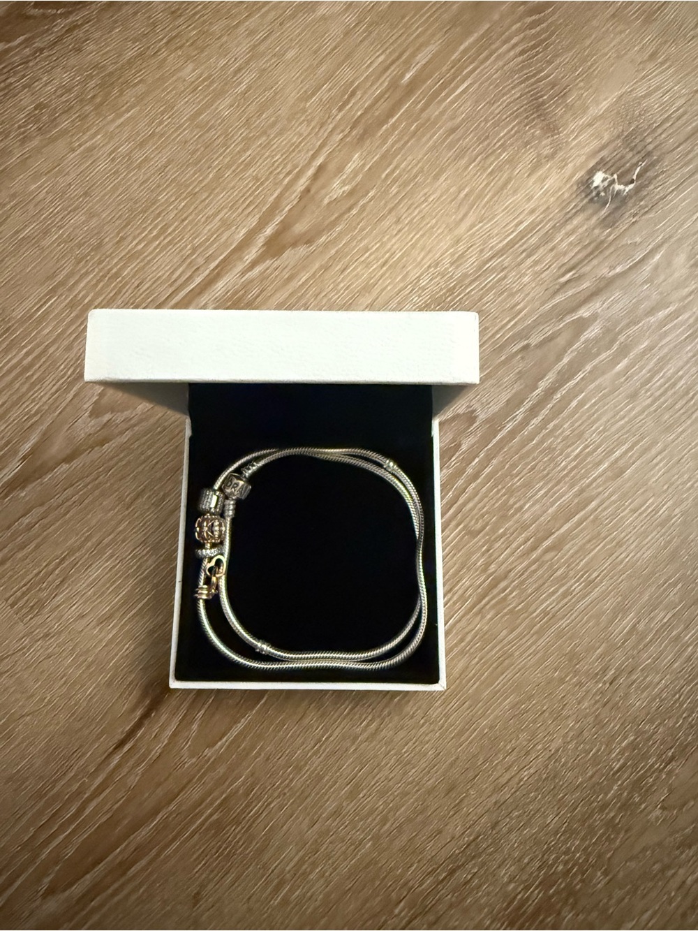 Pandora Two Tone Necklace with Charms